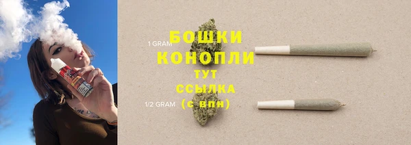 прущие грибы Арсеньев