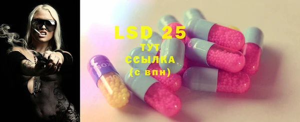 прущие грибы Арсеньев