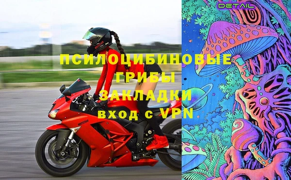 прущие грибы Арсеньев