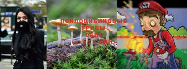 прущие грибы Арсеньев